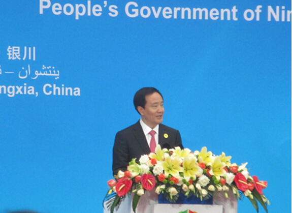 2015中国—阿拉伯国家博览会5.jpg