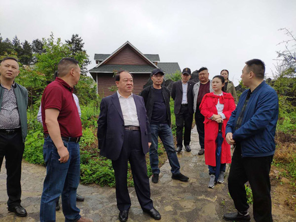 中国西部开发促进会领导赴重庆市调研6.jpg