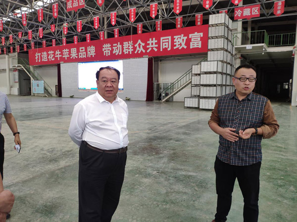 中国西部开发促进会领导前往甘肃省天水市调研3.jpg