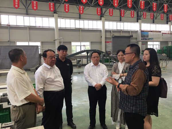 中国西部开发促进会领导前往甘肃省天水市调研4.jpg
