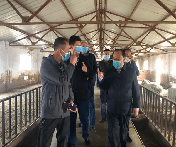 中国西部开发促进会前往宁夏回族自治区盐池县考察调研5.jpg