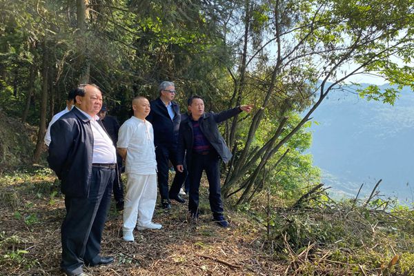 中国西部开发促进会前往重庆市彭水苗族土家族自治县考察调研4.jpg