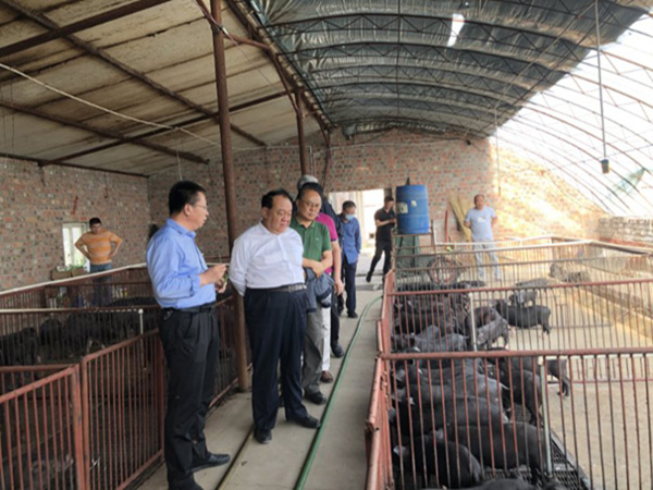 中国西部开发促进会前往中首农牧业开发（包头）有限公司进行调研2.jpg