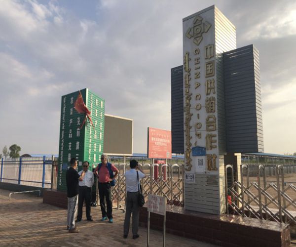 中国西部开发促进会赴科尔沁（内蒙古）羊业有限公司调研2.jpg